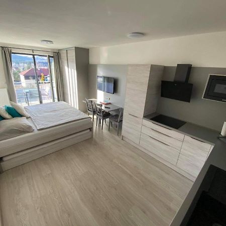 Apartman Denisa Lipno nad Vltavou Dış mekan fotoğraf