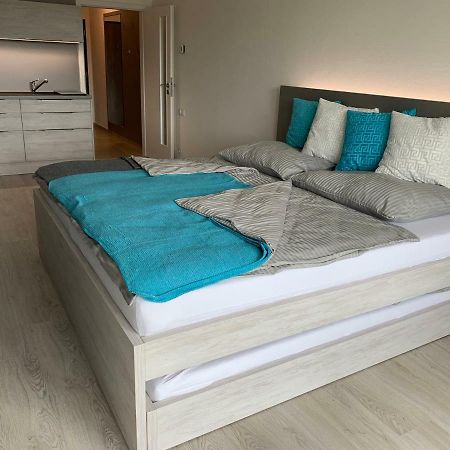 Apartman Denisa Lipno nad Vltavou Dış mekan fotoğraf