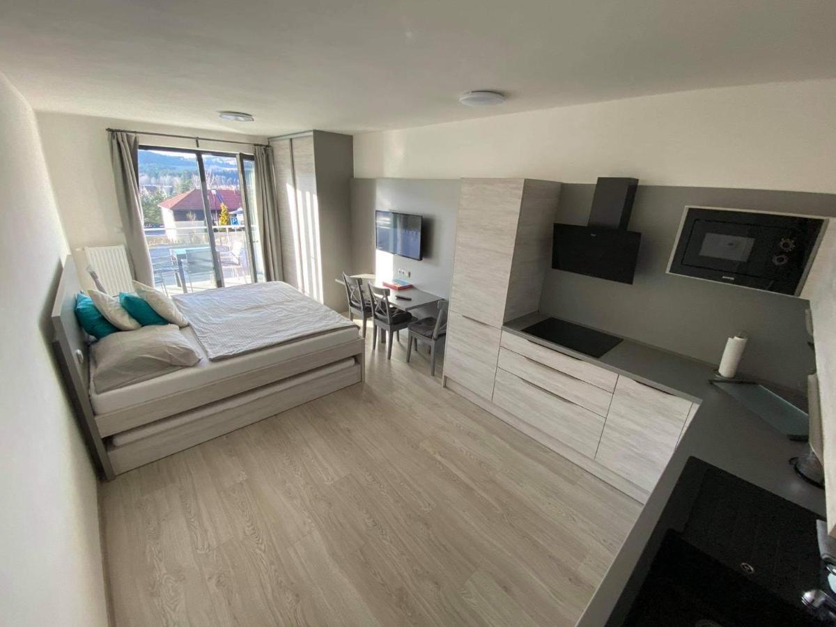 Apartman Denisa Lipno nad Vltavou Dış mekan fotoğraf