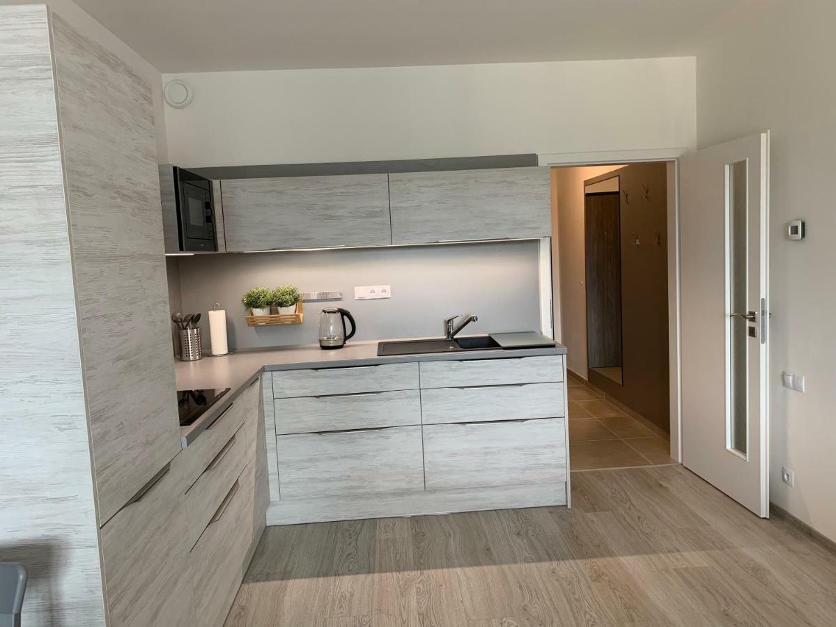 Apartman Denisa Lipno nad Vltavou Dış mekan fotoğraf