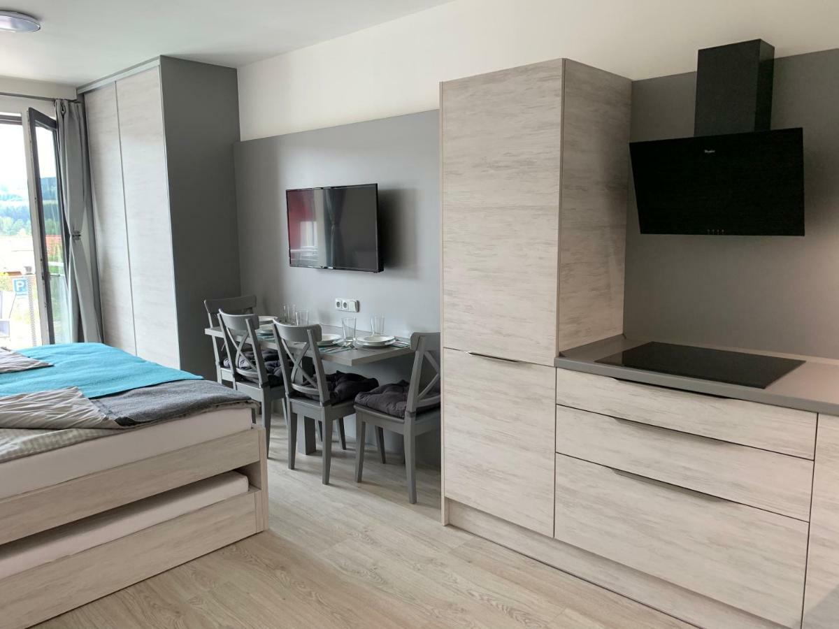 Apartman Denisa Lipno nad Vltavou Dış mekan fotoğraf