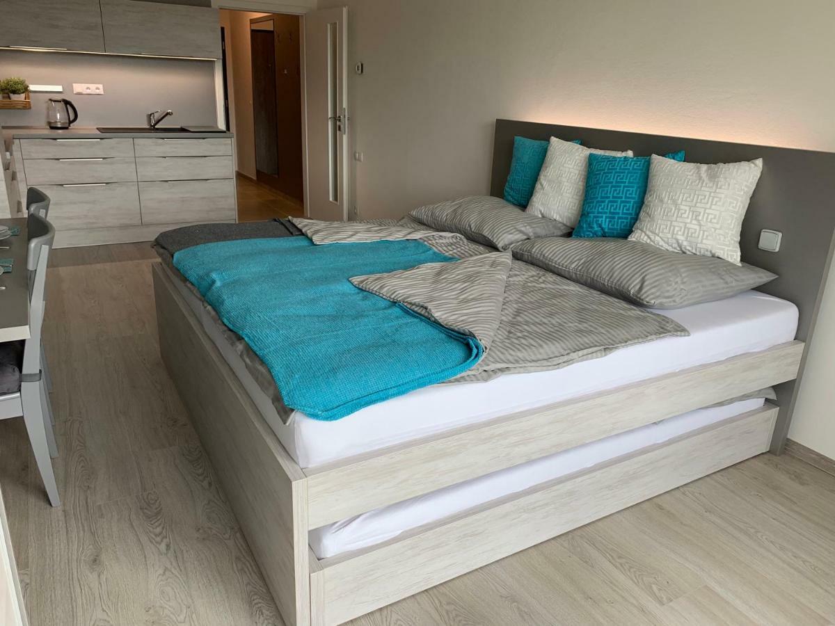 Apartman Denisa Lipno nad Vltavou Dış mekan fotoğraf