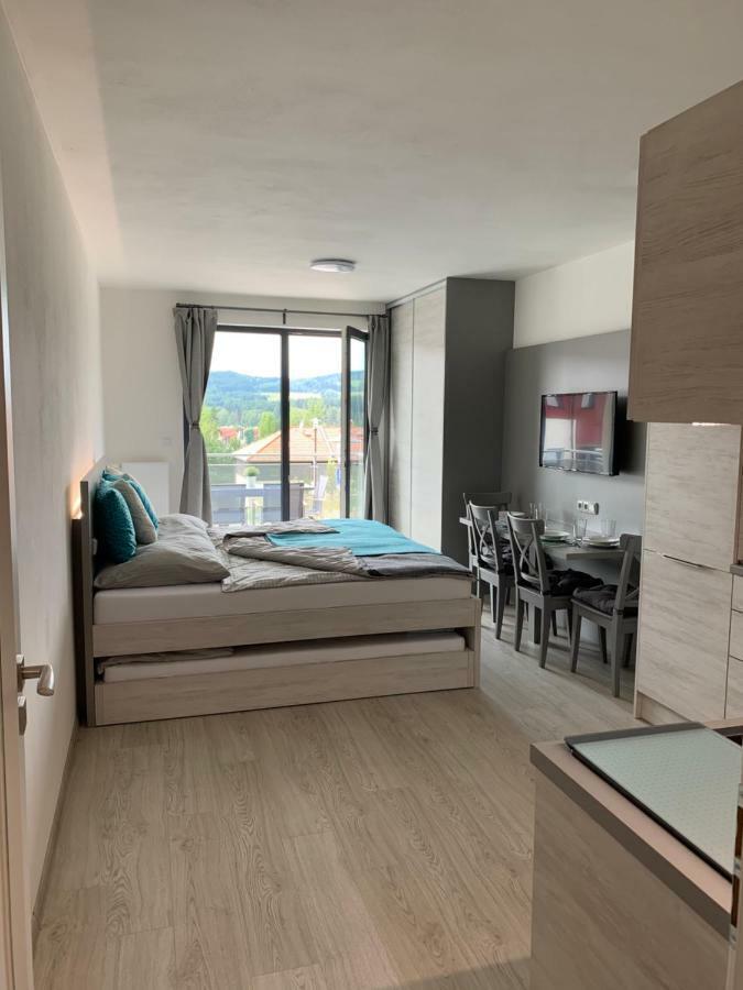 Apartman Denisa Lipno nad Vltavou Dış mekan fotoğraf