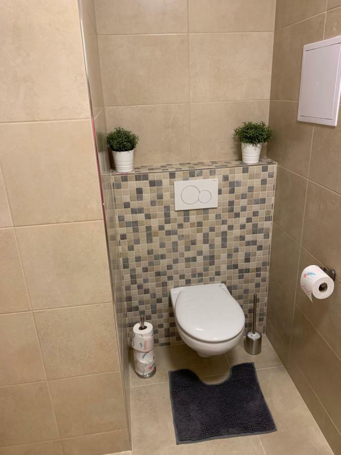 Apartman Denisa Lipno nad Vltavou Dış mekan fotoğraf